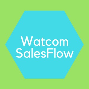 WatcomSalesflow (1 месяц)